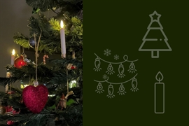 Juletreet med sin pynt – slik velger du det riktige juletreet, juletrebelysning og tilbehør