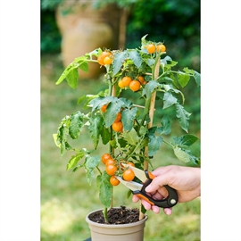 Black+Decker Blomstersaks – 15 cm Rustfritt stål, Sort/Oransje