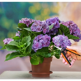 Black+Decker Blomstersaks – 16 cm med sikkerhetslås, svart/oransje